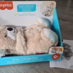 Schlummer Otter Fisher Price im Test