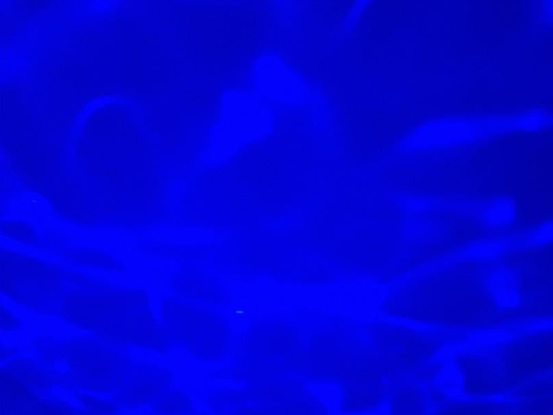 blaue wellen